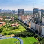 Best photo of endangered animals