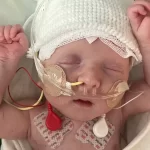 Best Web Hosting for 2025