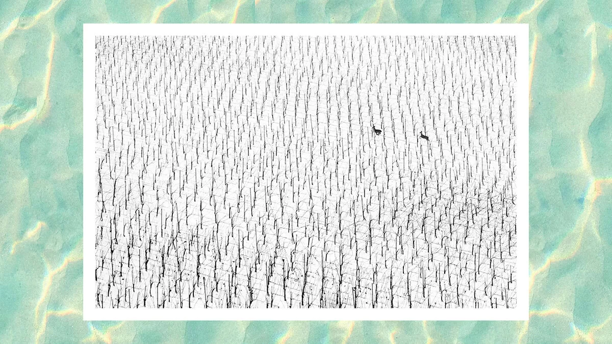 جمال وتوحش الطبيعة